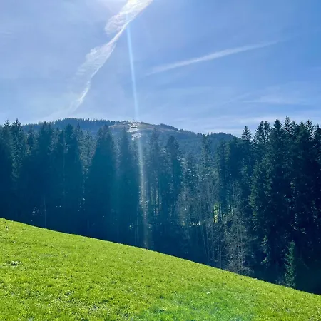 Διαμέρισμα Berghof Ellmau